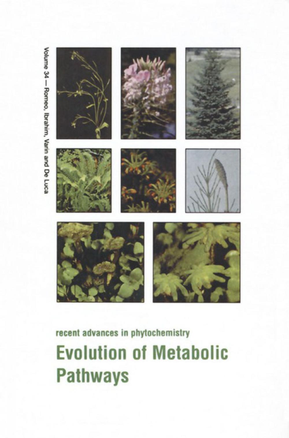 Big bigCover of Evolution of Metabolic Pathways