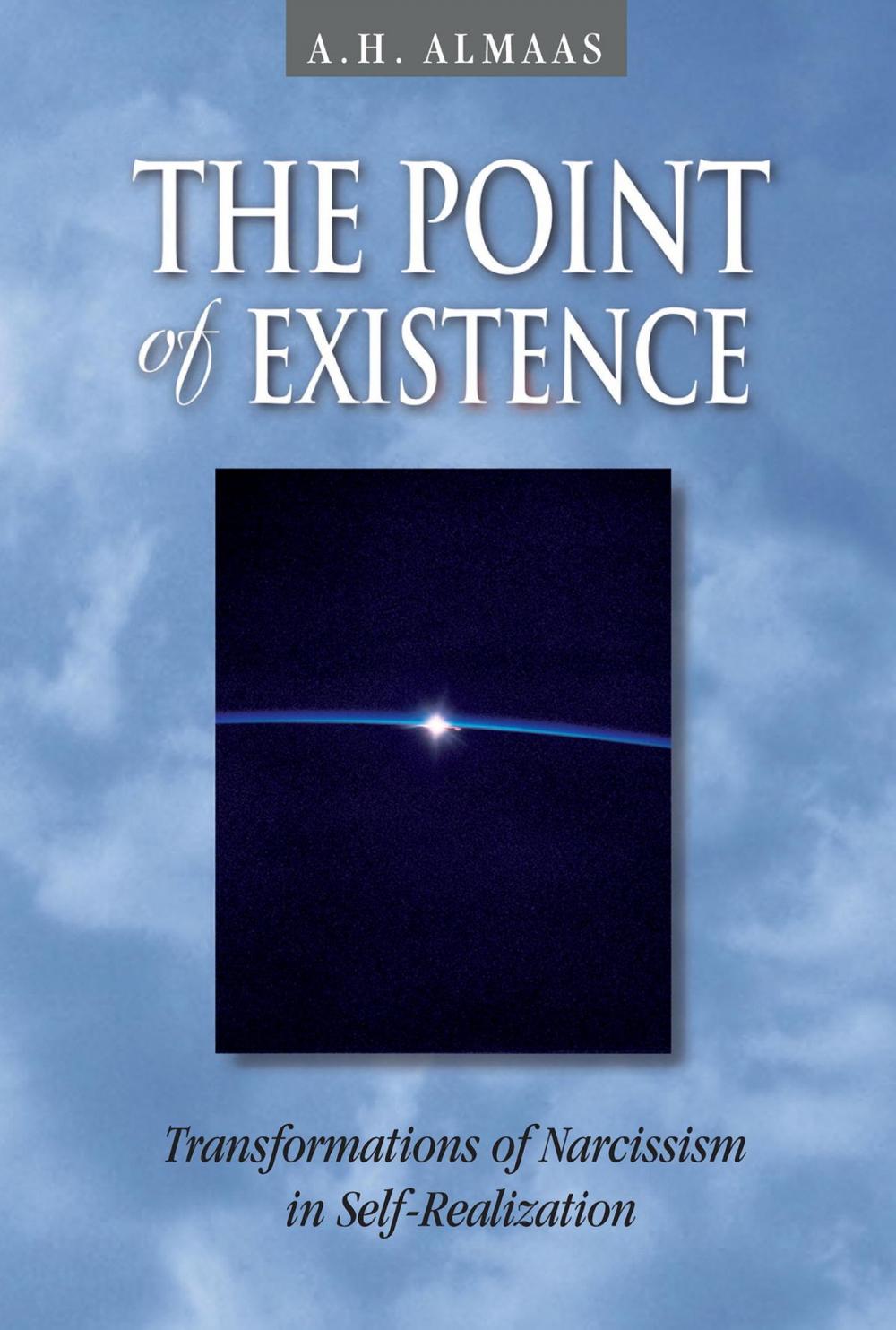 Big bigCover of The Point of Existence