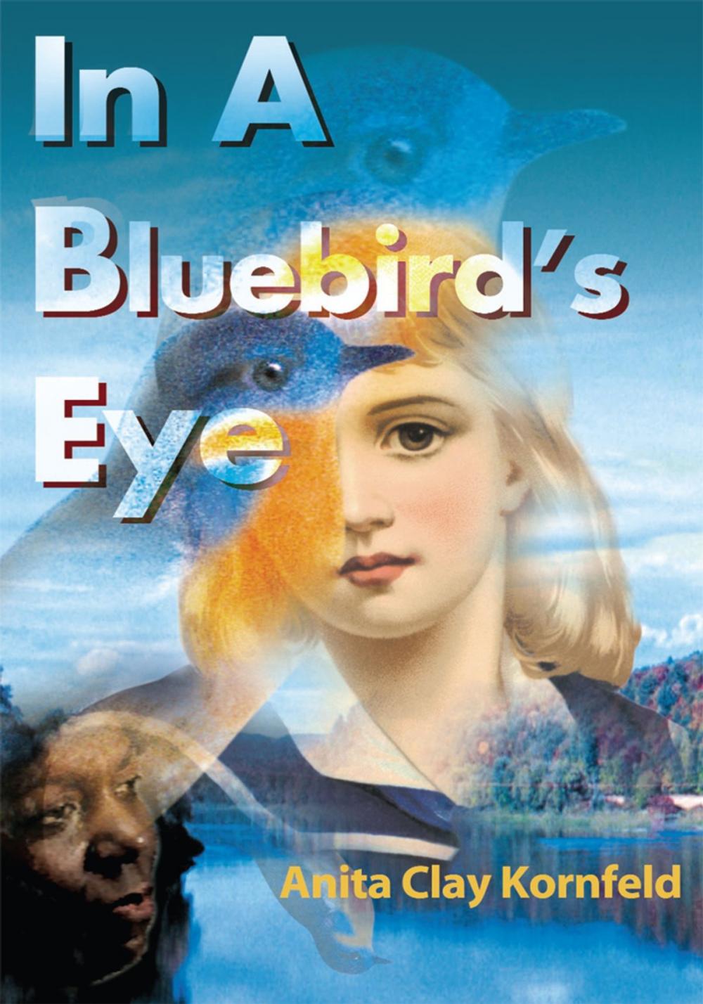 Big bigCover of In a Bluebird's Eye