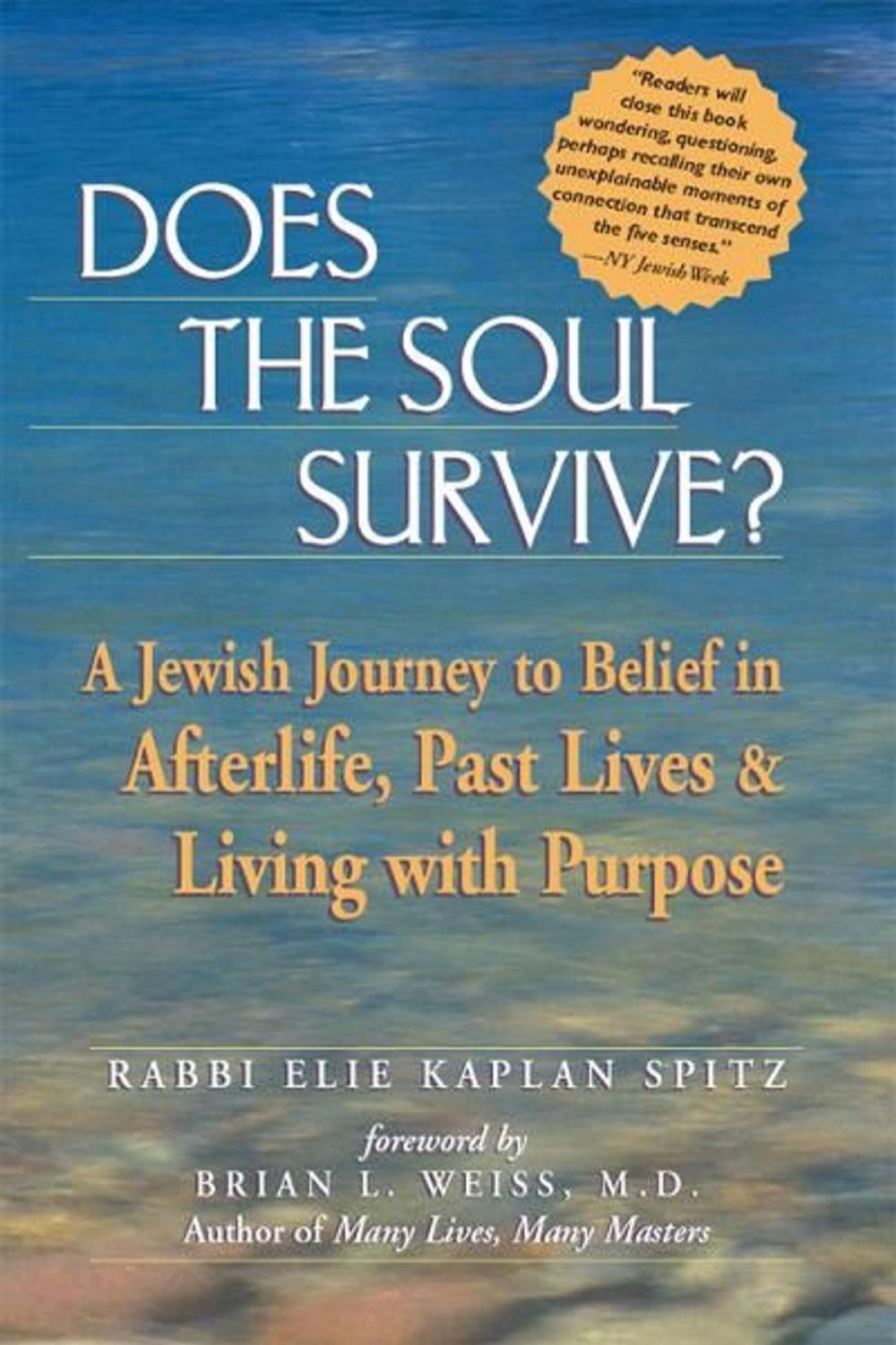 Big bigCover of Does the Soul Survive?: A Jewish Journey to Belief in Afterlife, Past Lives & Living with Purpose