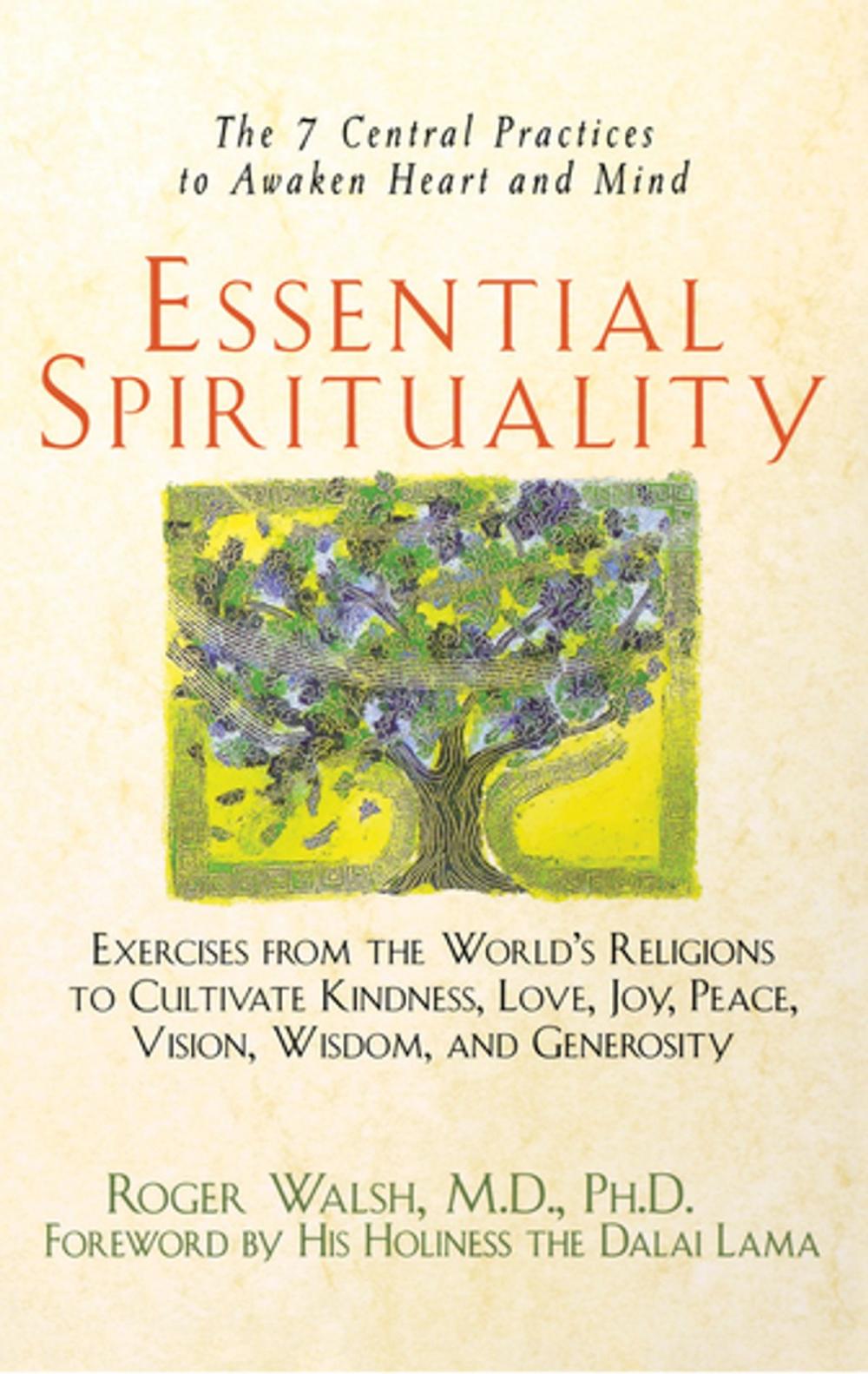 Big bigCover of Essential Spirituality