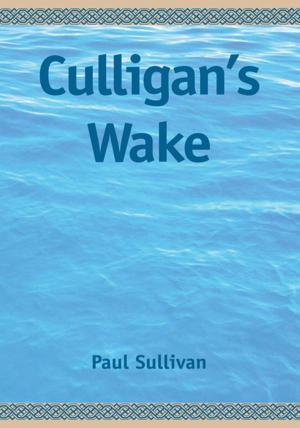 Cover of the book Culligan's Wake by Elena Fryer