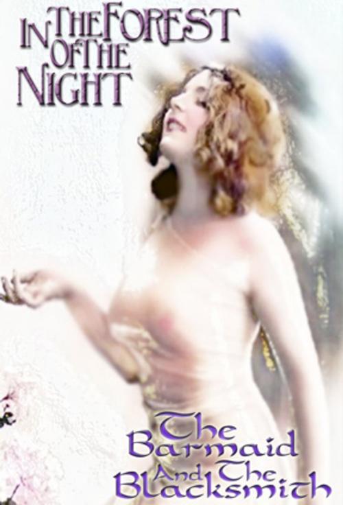 Cover of the book In The Forest of the Night & Barmaid & The Blacksmith by Lizbeth Dusseau, Pink Flamingo Media