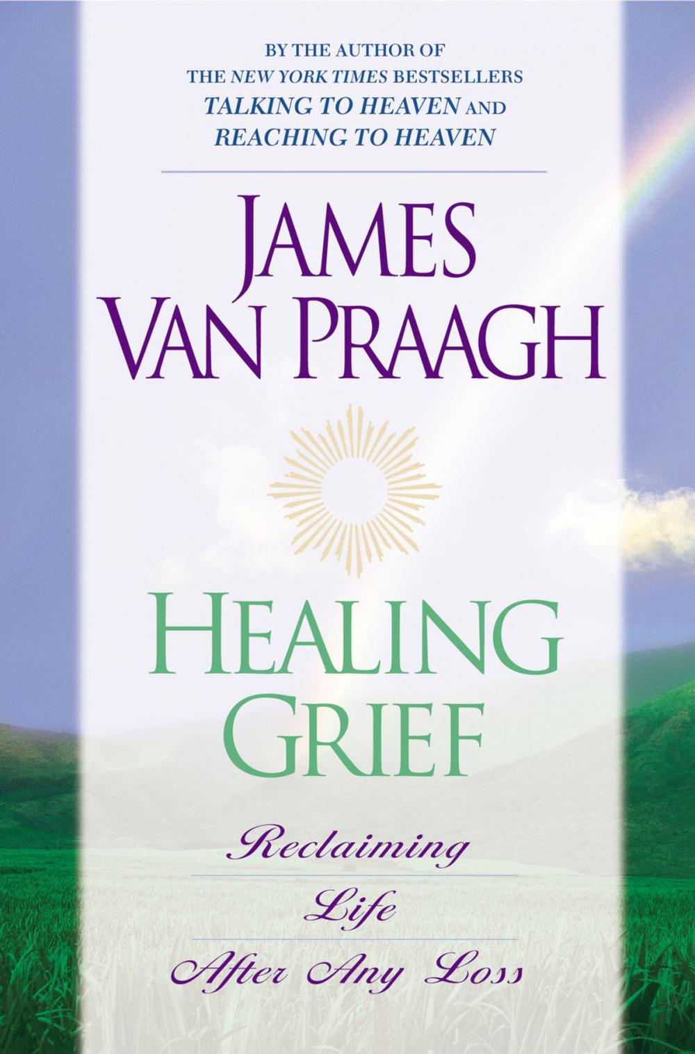 Big bigCover of Healing Grief