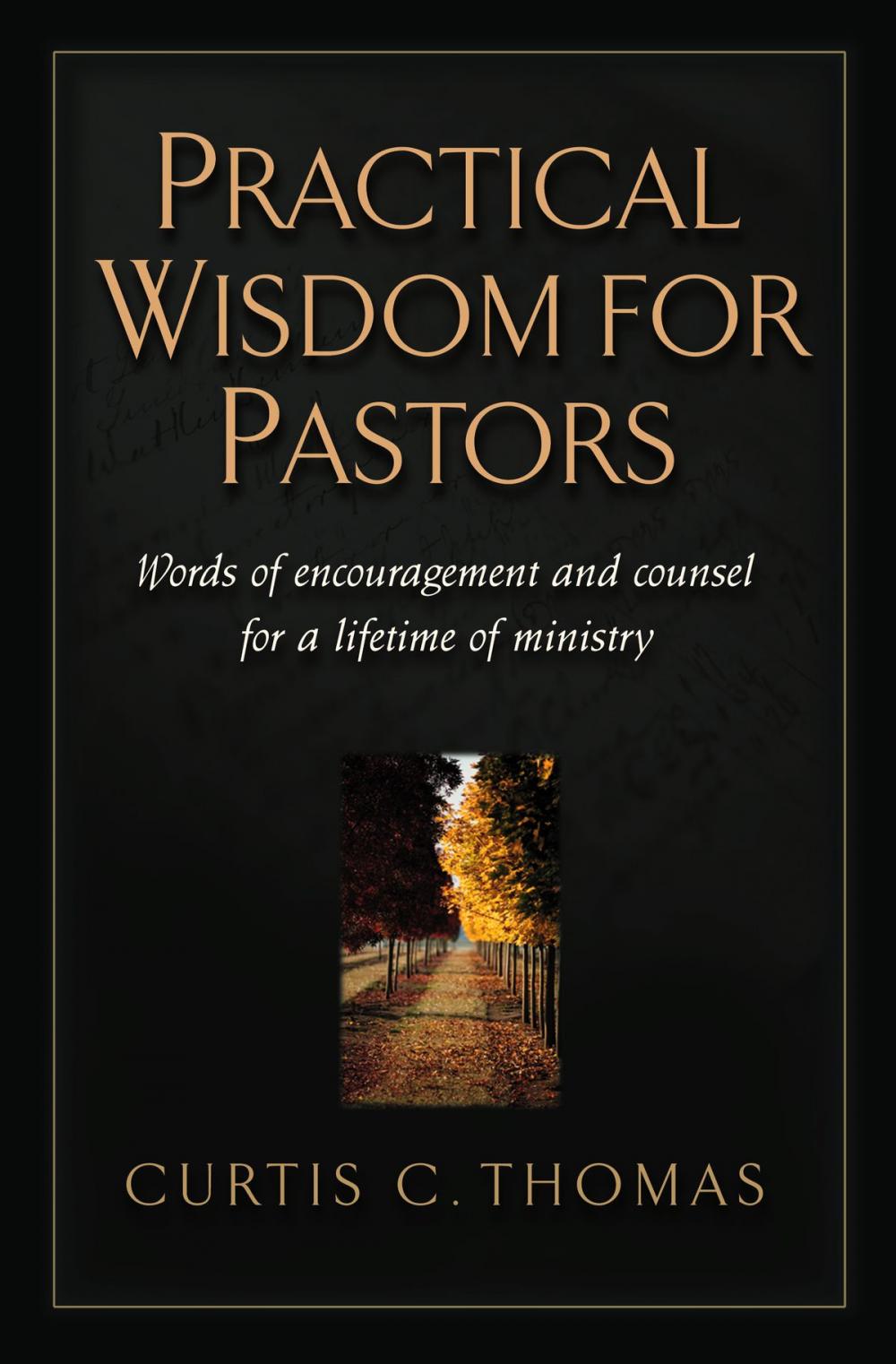 Big bigCover of Practical Wisdom for Pastors