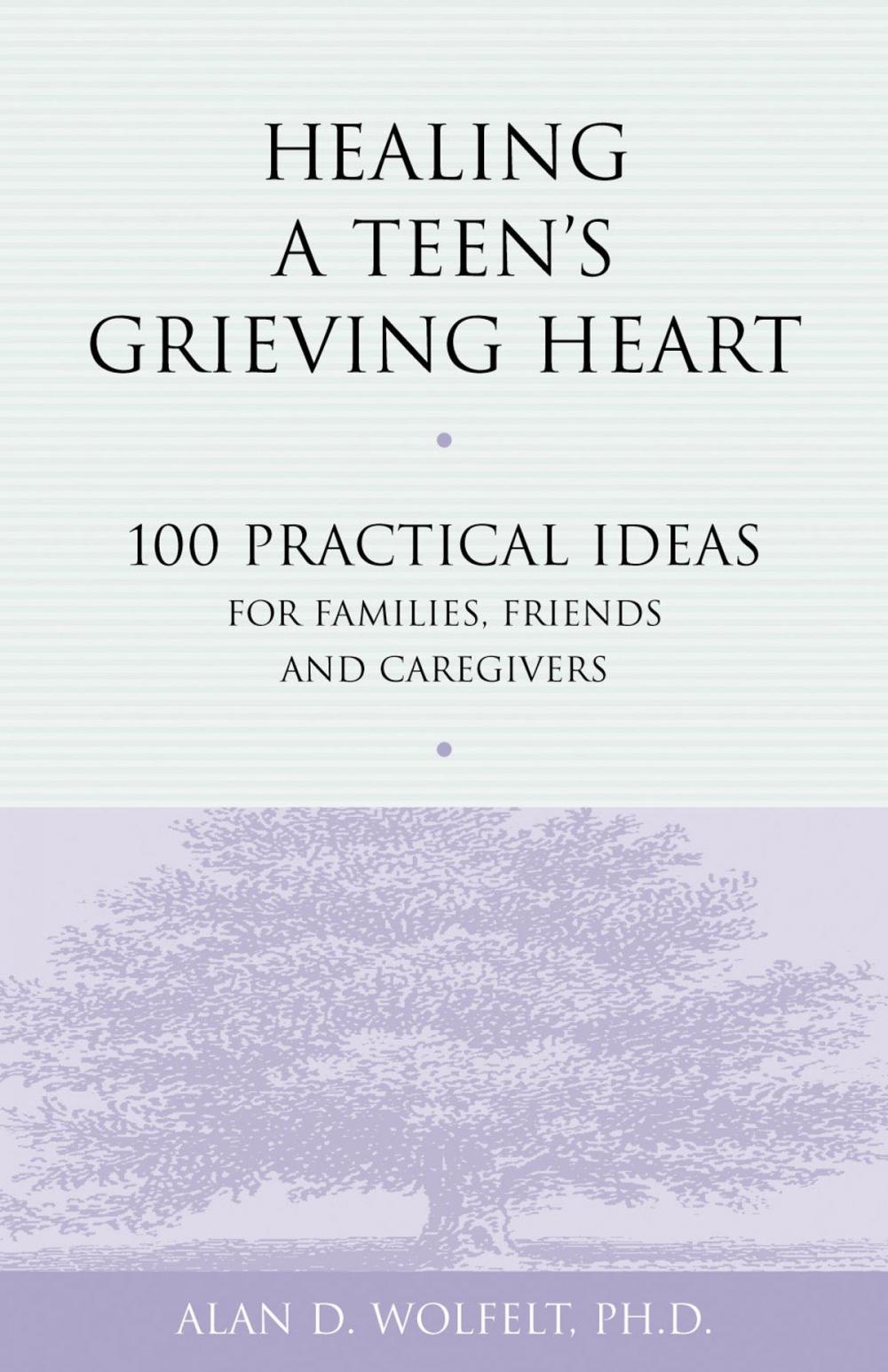 Big bigCover of Healing a Teen's Grieving Heart