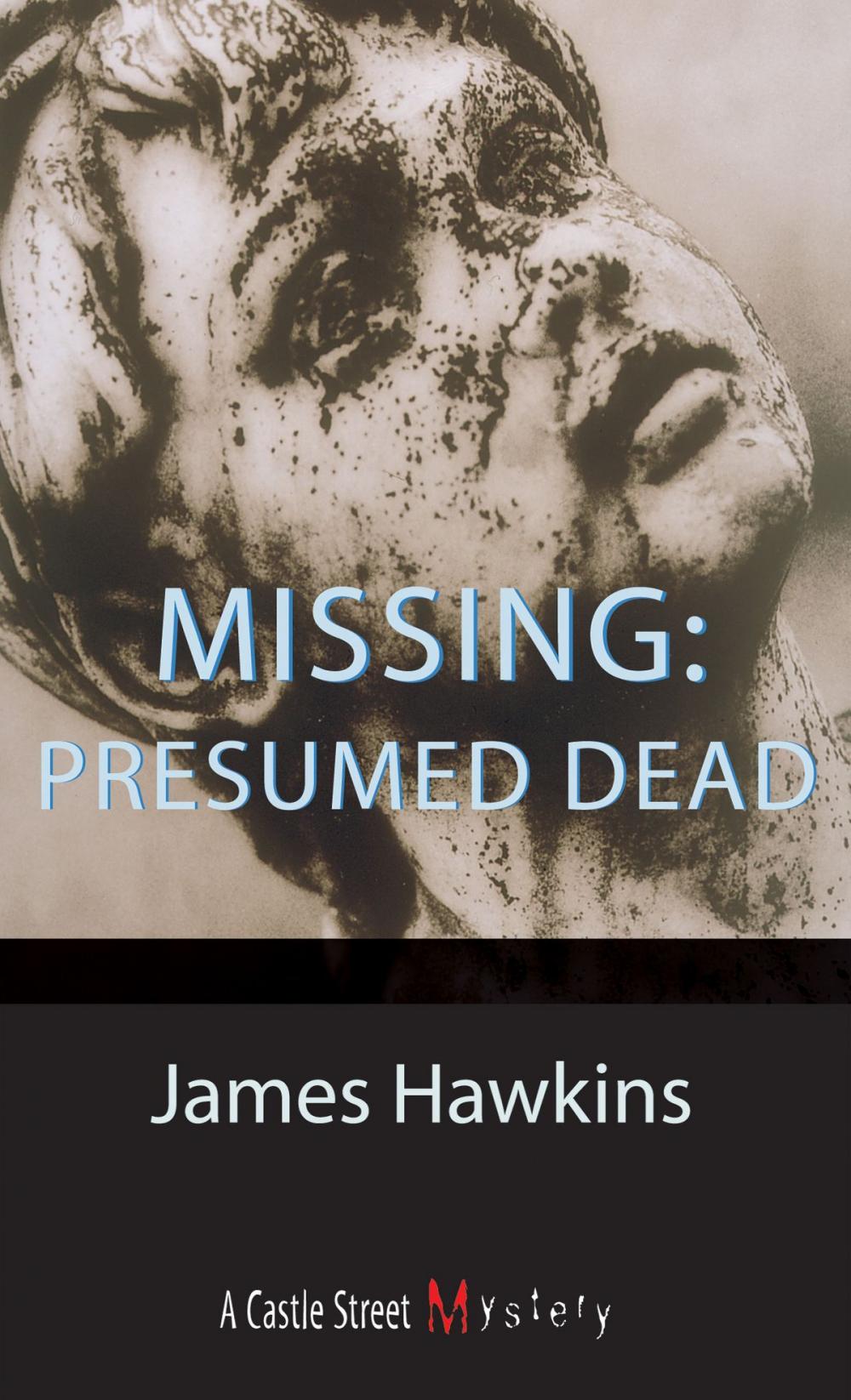 Big bigCover of Missing: Presumed Dead