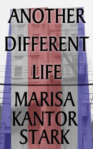 Cover of the book Another Different Life by Monica Grenfell