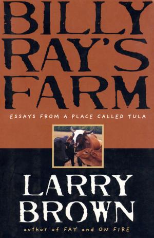 Cover of the book Billy Ray's Farm by Sarah Jean Horwitz