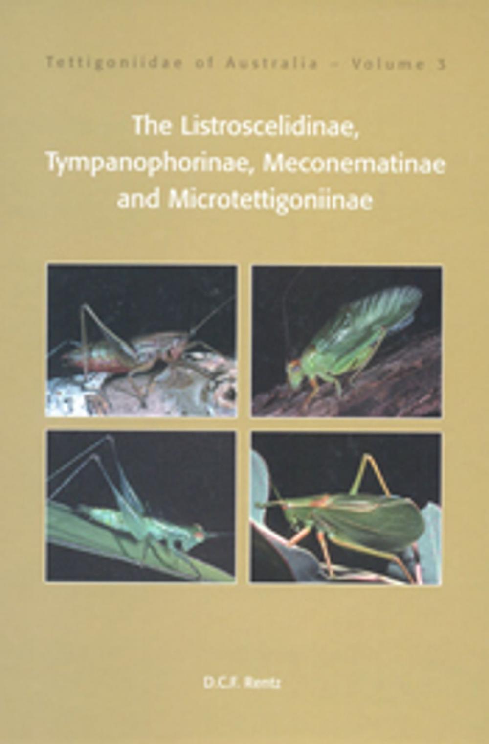 Big bigCover of Tettigoniidae of Australia Volume 3