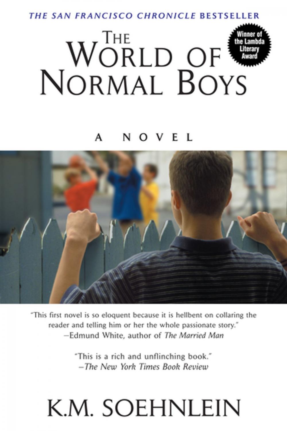 Big bigCover of The World of Normal Boys