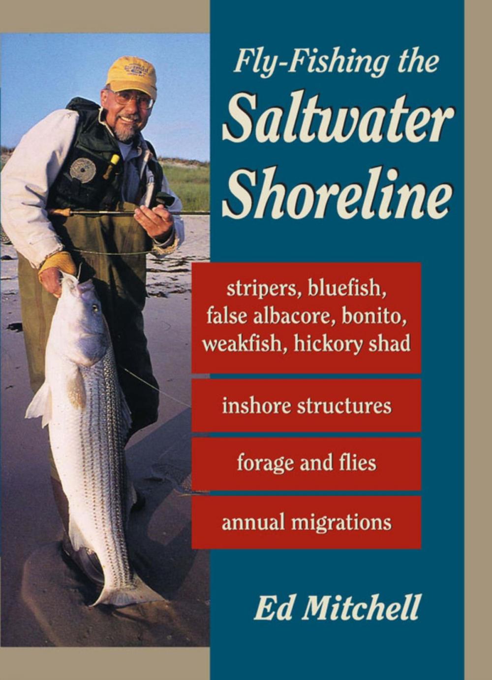 Big bigCover of Fly-Fishing the Saltwater Shoreline