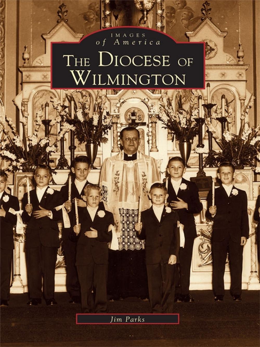 Big bigCover of The Diocese of Wilmington