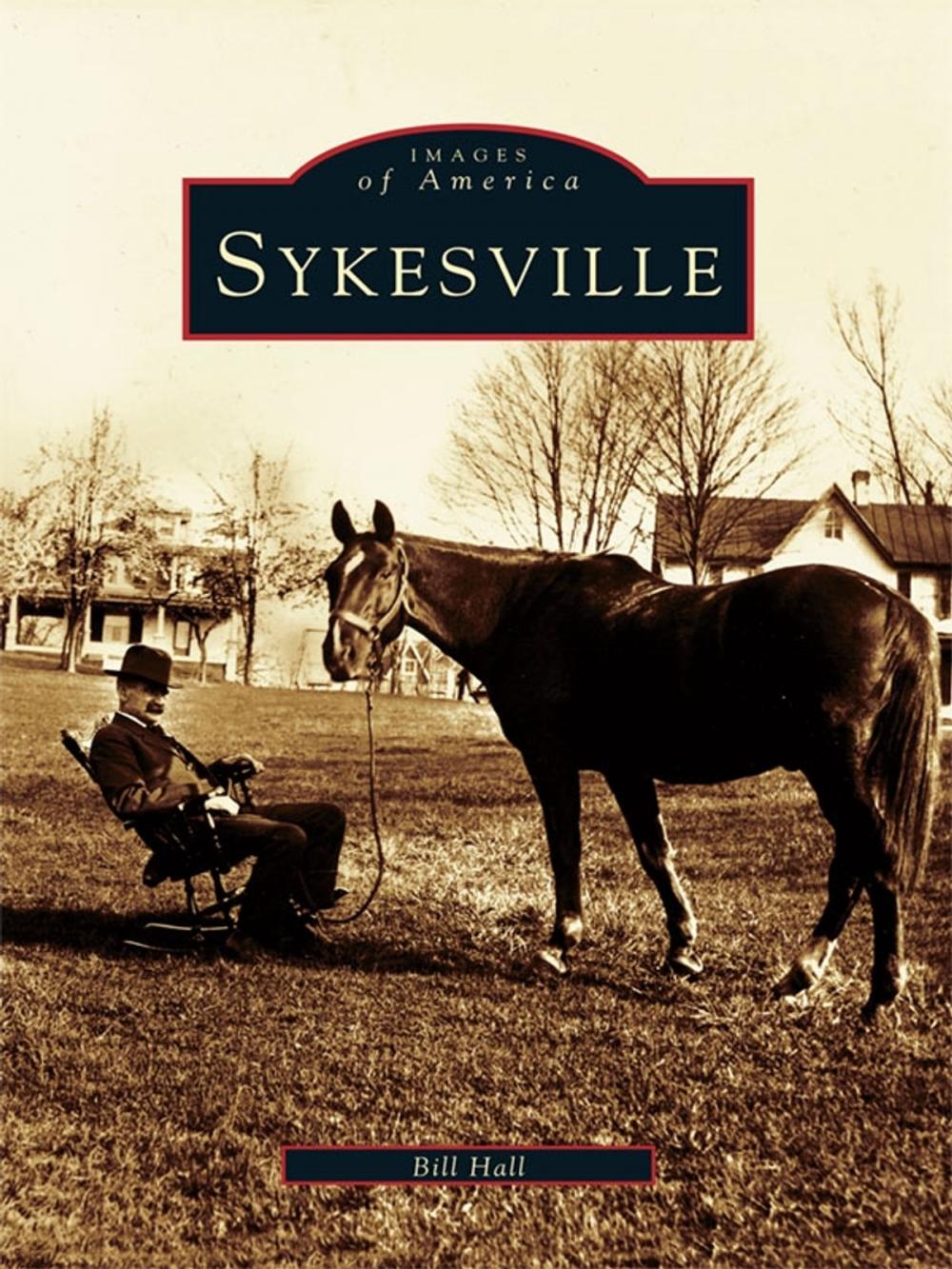 Big bigCover of Sykesville