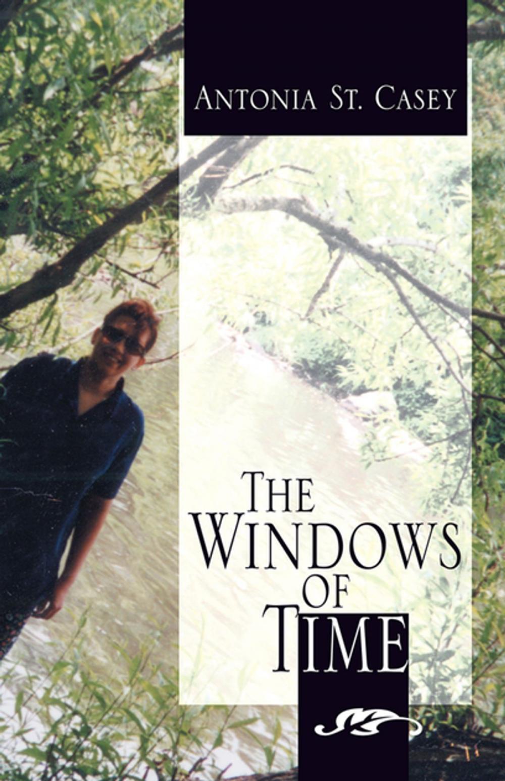 Big bigCover of The Windows of Time