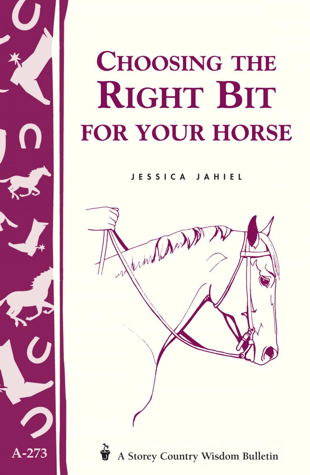 Big bigCover of Choosing the Right Bit for Your Horse