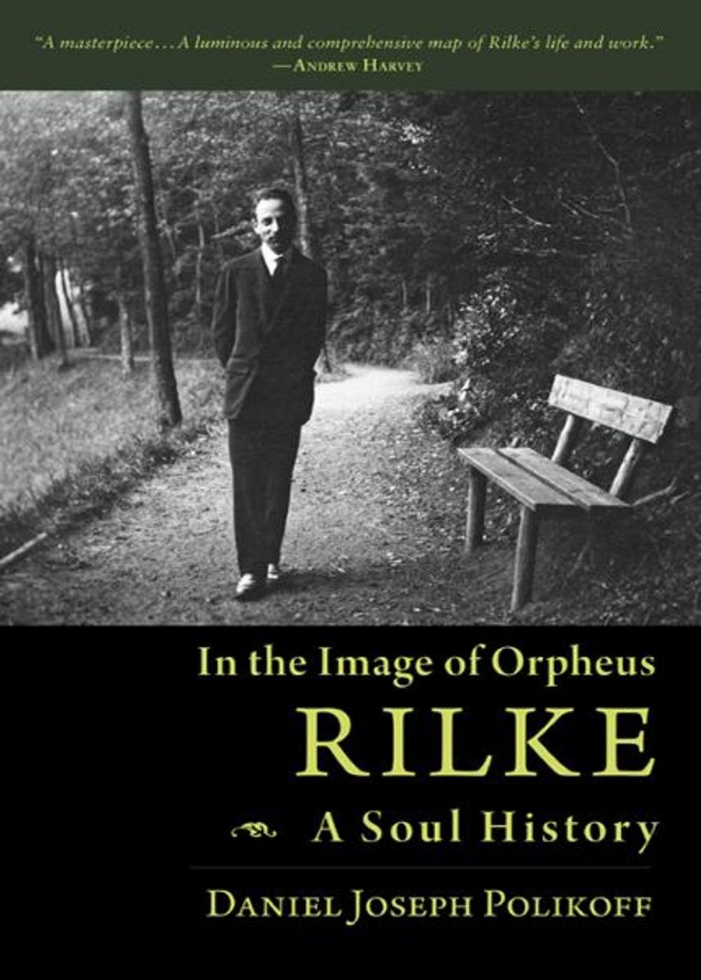 Big bigCover of Rilke, A Soul History