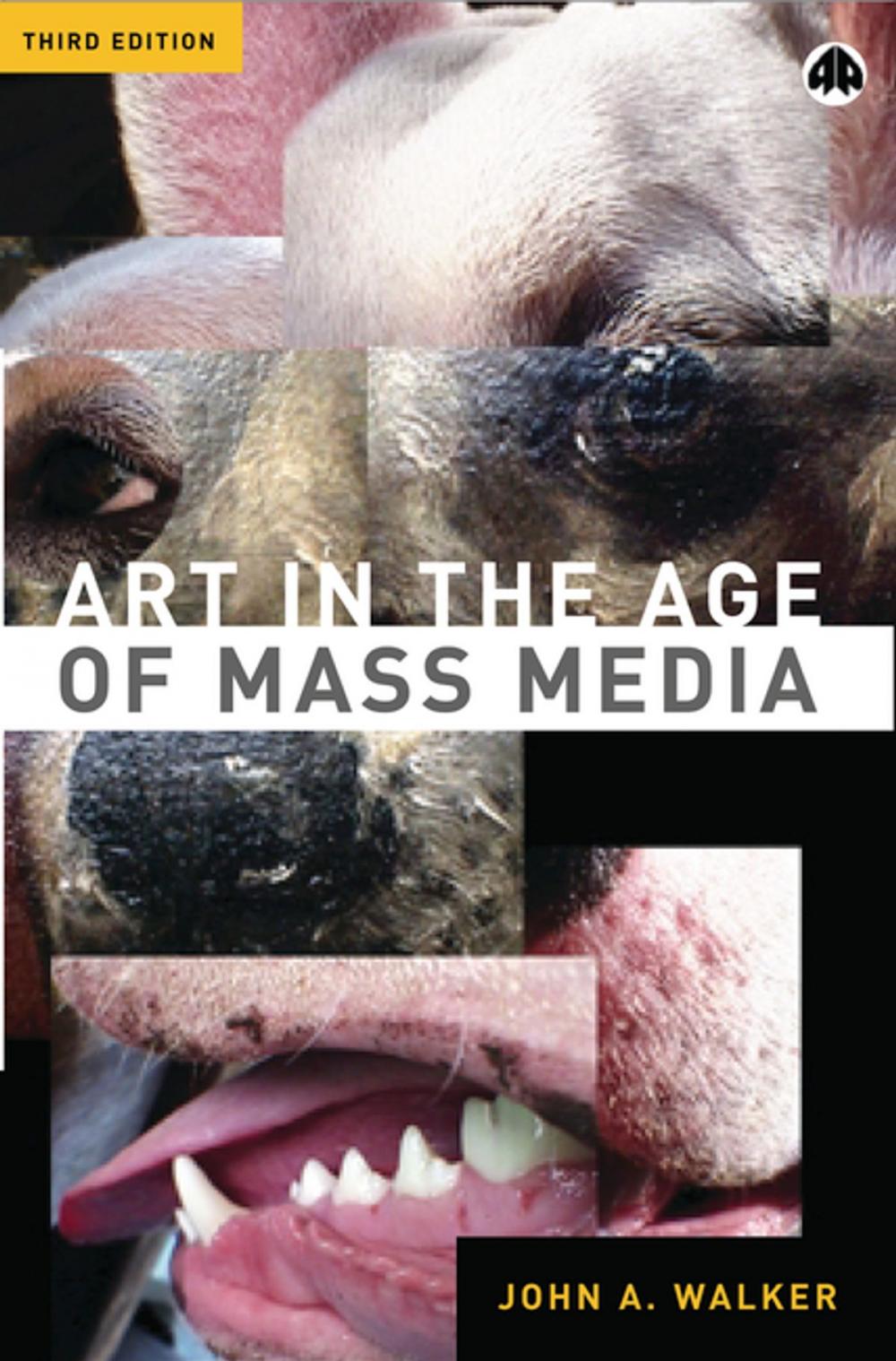 Big bigCover of Art in the Age of Mass Media