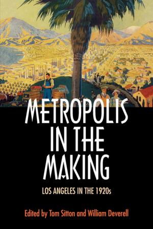 Cover of the book Metropolis in the Making by Susanna de Vries