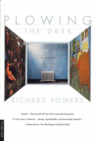 Cover of the book Plowing the Dark by David Duchovny