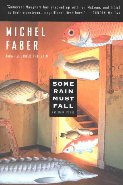 Cover of the book Some Rain Must Fall by Michel Faber, HMH Books