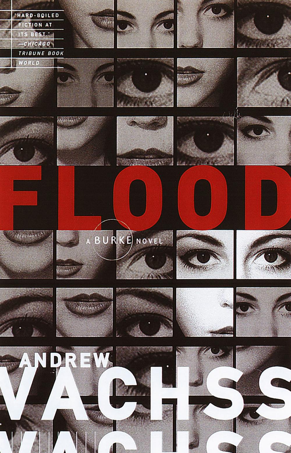 Big bigCover of Flood