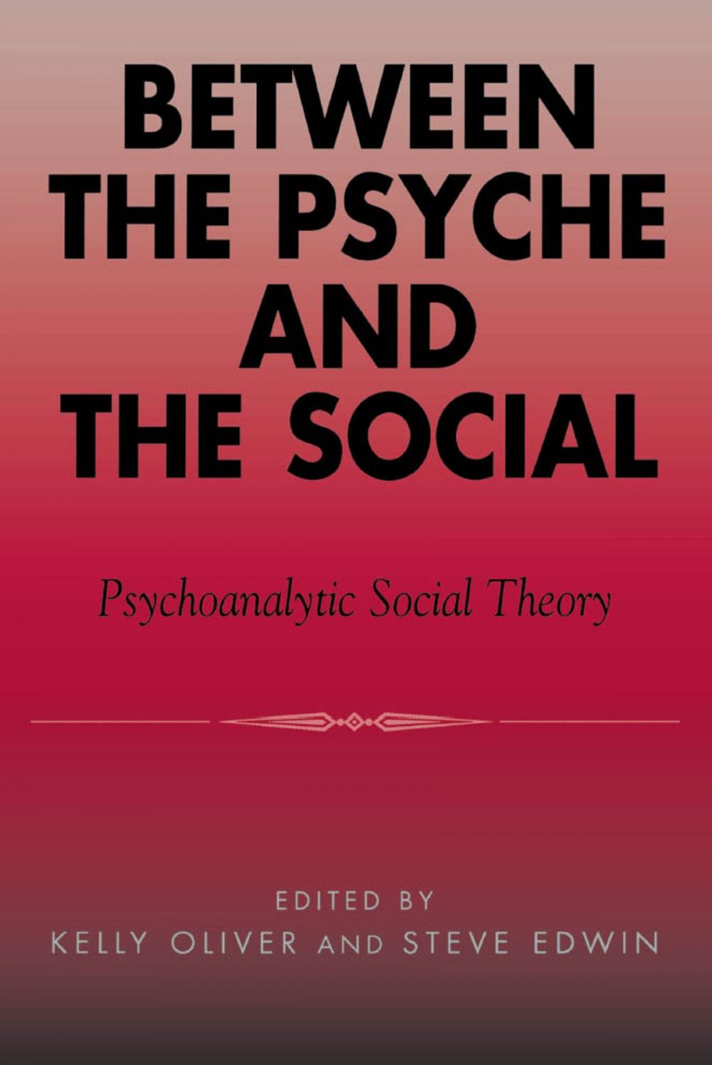 Big bigCover of Between the Psyche and the Social