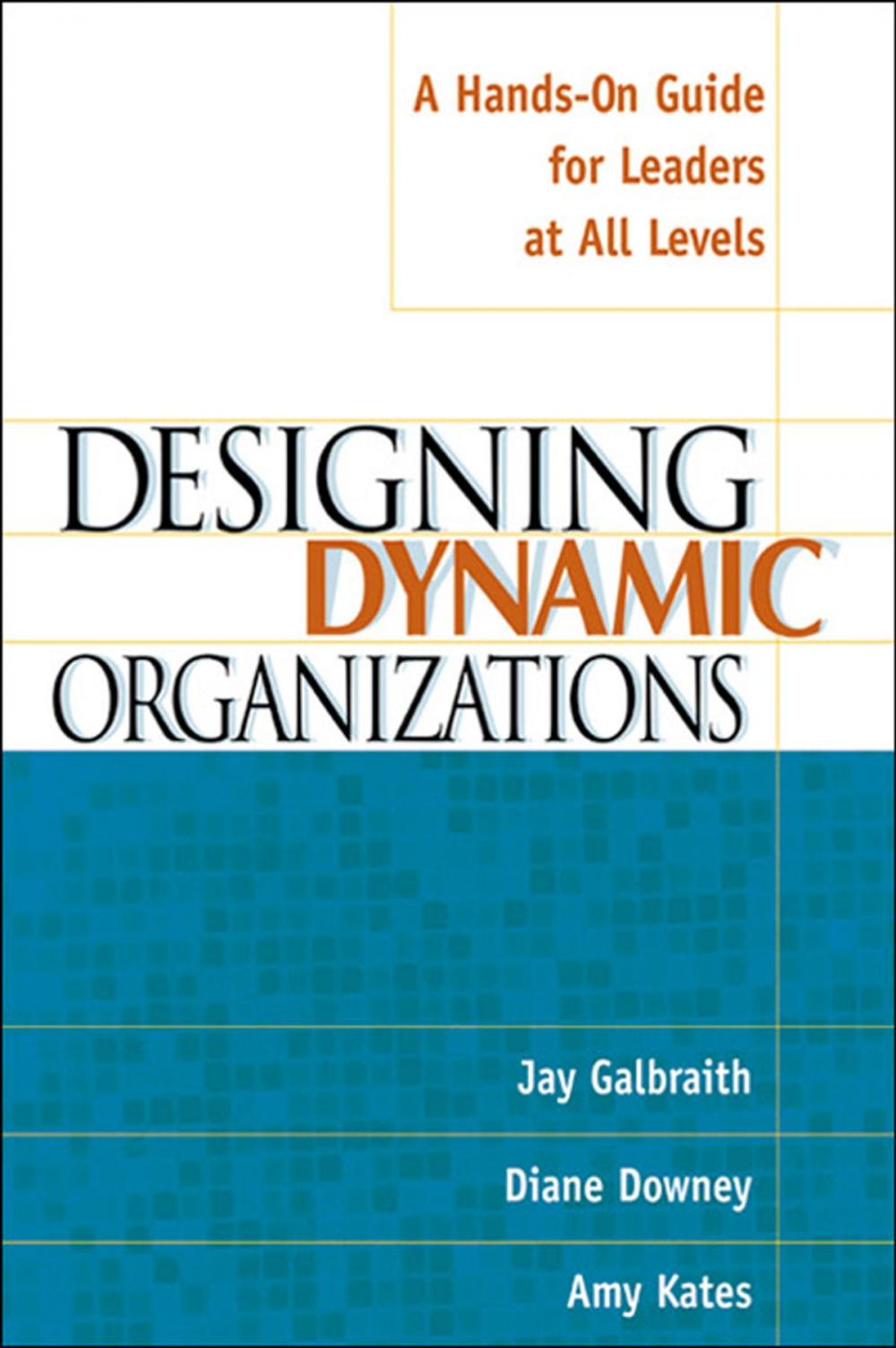 Big bigCover of Designing Dynamic Organizations