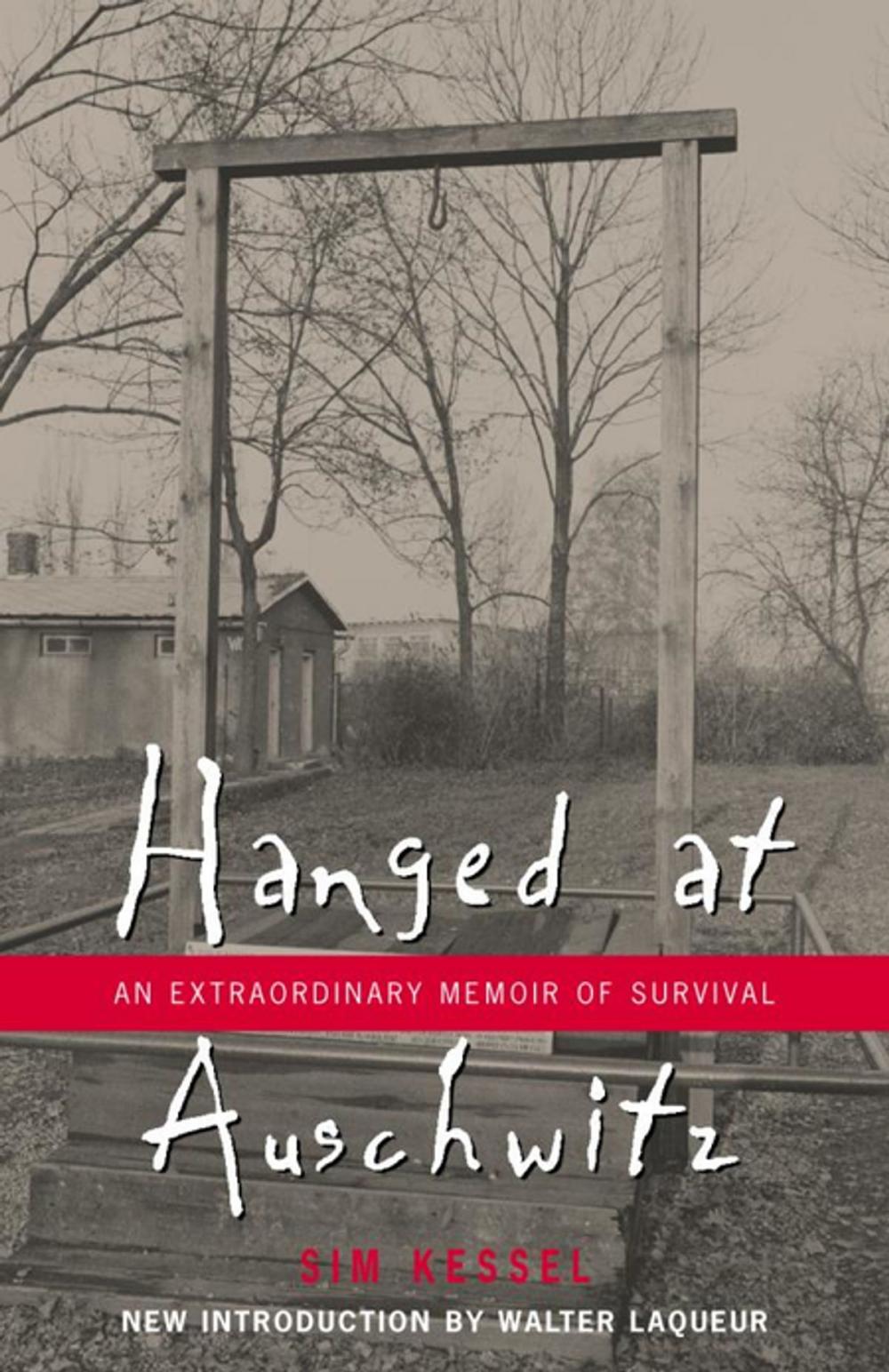 Big bigCover of Hanged at Auschwitz