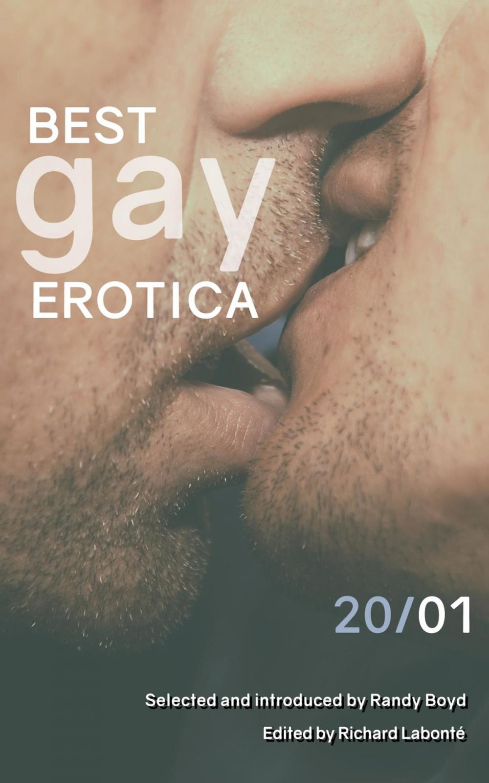 Big bigCover of Best Gay Erotica 2001