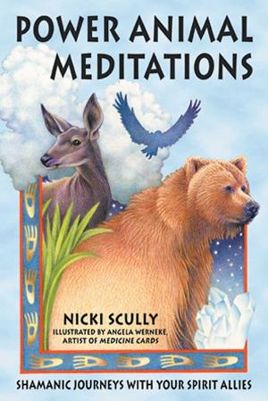 Cover of the book Power Animal Meditations by Marlene Toussaint