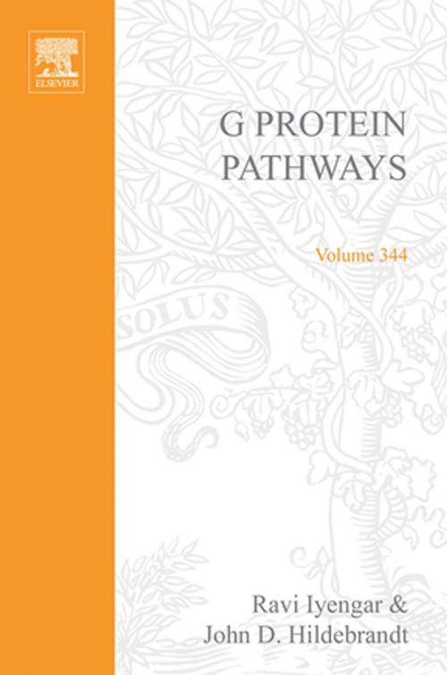 Cover of the book G Protein Pathways, Part B: G Proteins and Their Regulators by Ravi Iyengar, John D. Hildebrandt, Elsevier Science