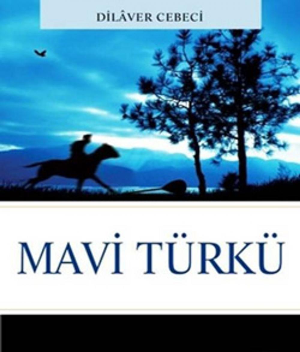 Big bigCover of Mavi Türkü
