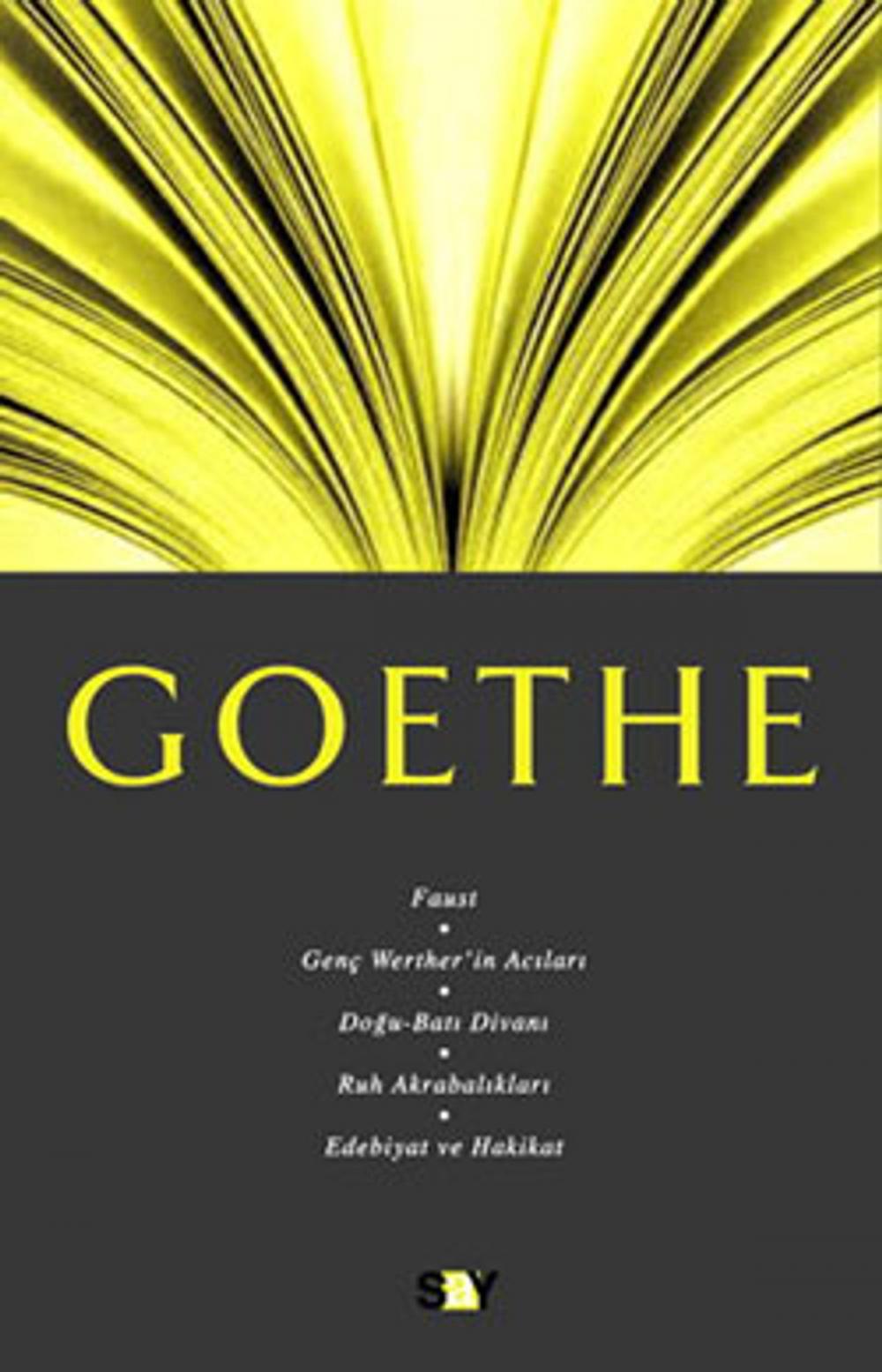 Big bigCover of Goethe-Fikir Mimarları - 5