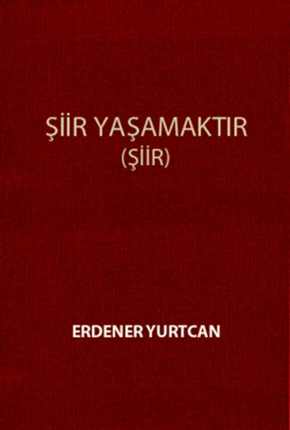 Big bigCover of Şiir Yaşamaktır