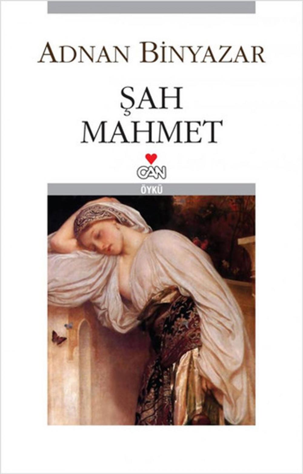 Big bigCover of Şah Mahmet