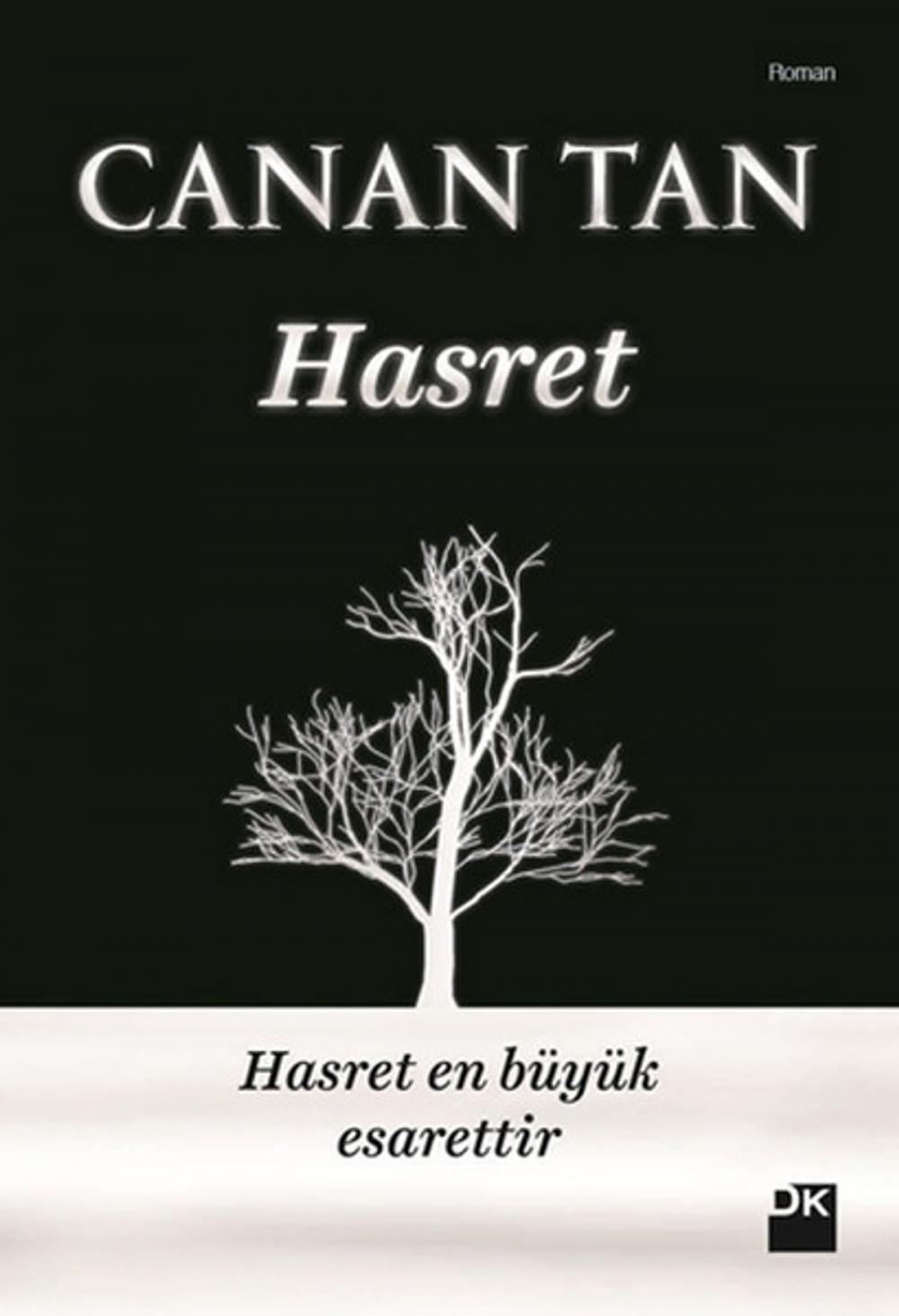 Big bigCover of Hasret