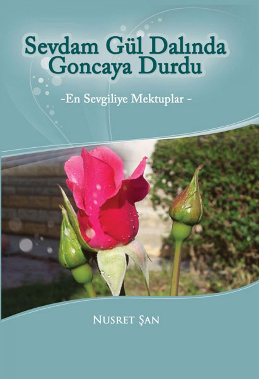 Big bigCover of Sevdam Gül Dalında Goncaya Durdu