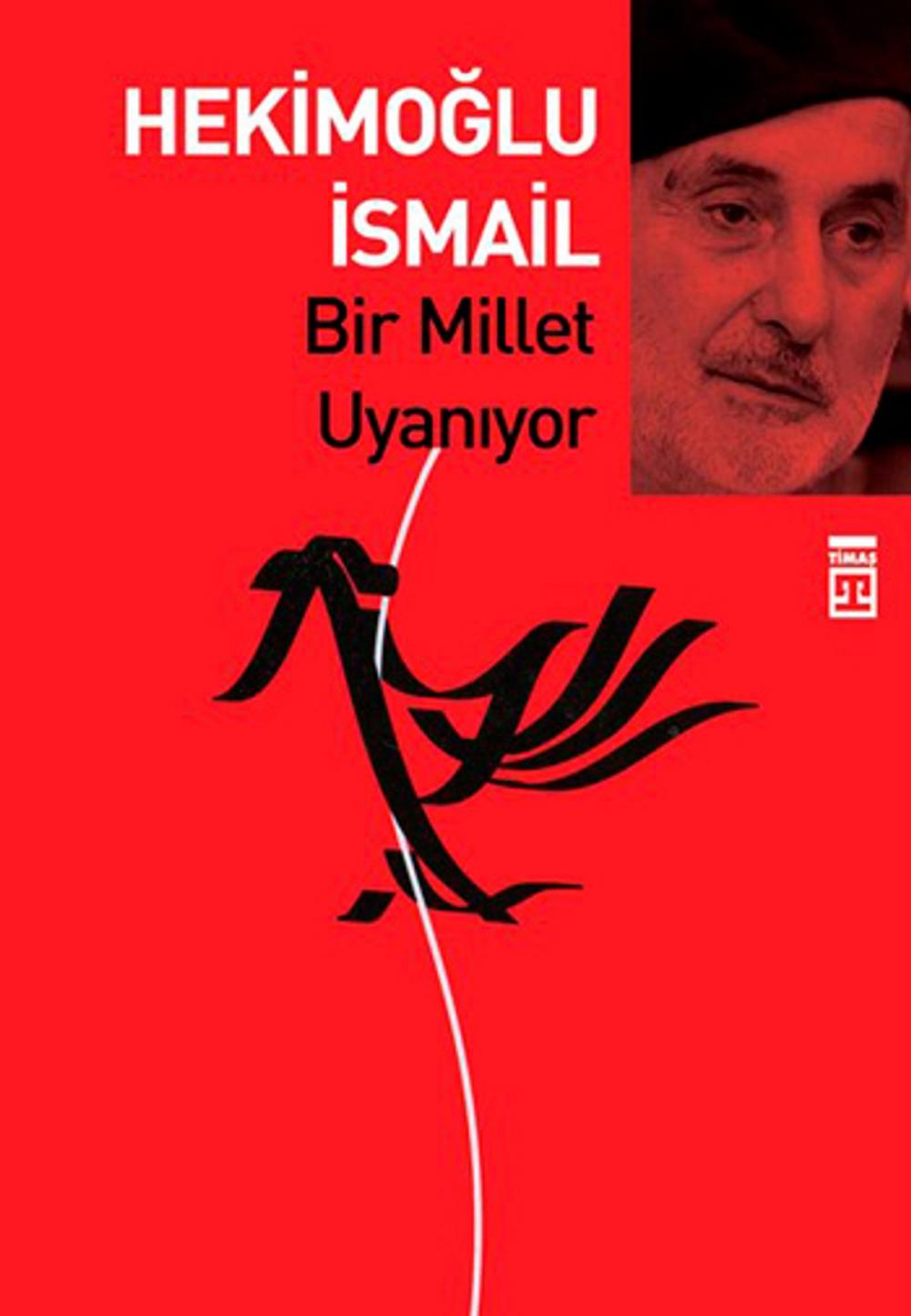 Big bigCover of Bir Millet Uyanıyor