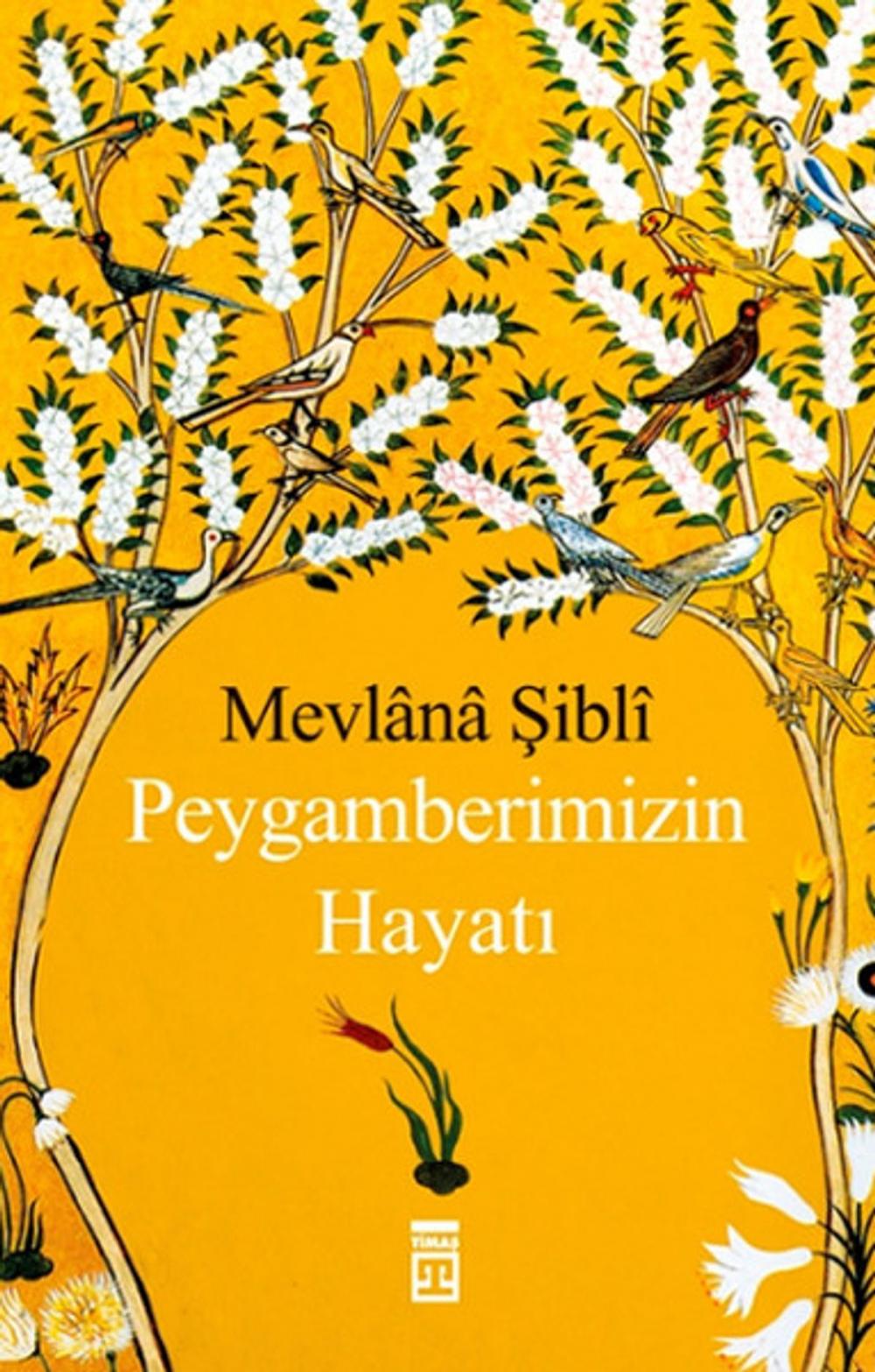 Big bigCover of Peygamberimizin Hayatı