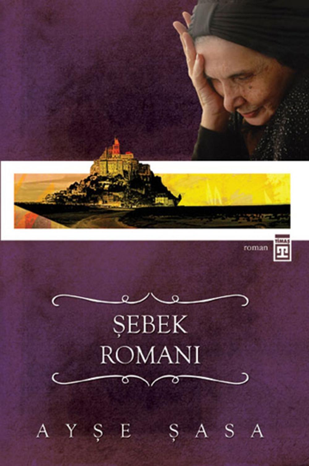 Big bigCover of Şebek Romanı