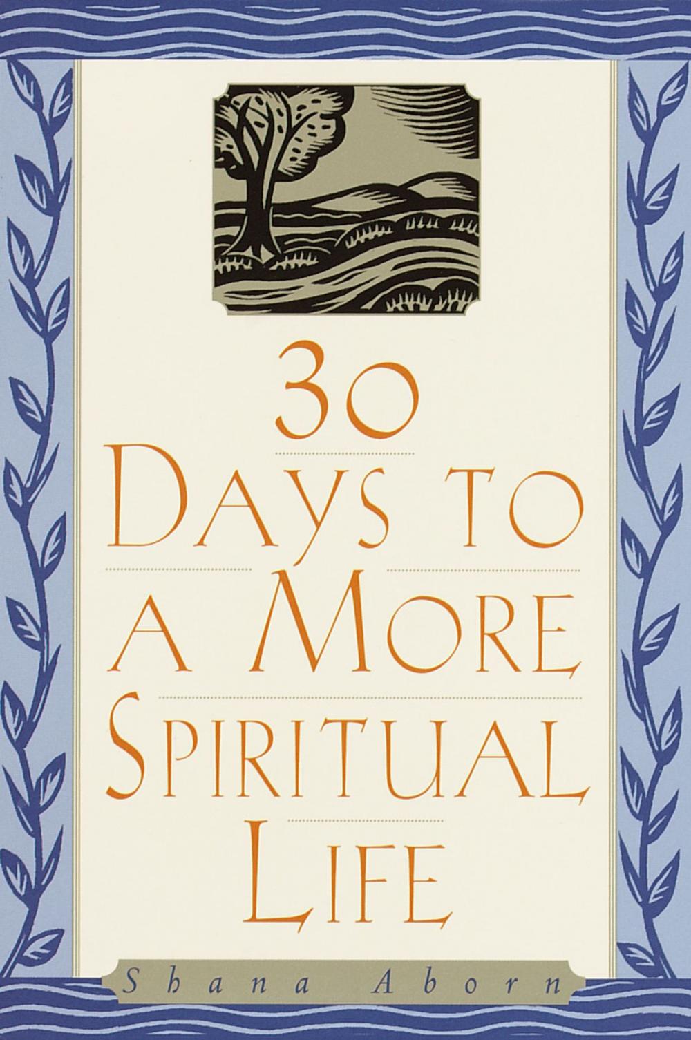 Big bigCover of 30 Days to a More Spiritual Life