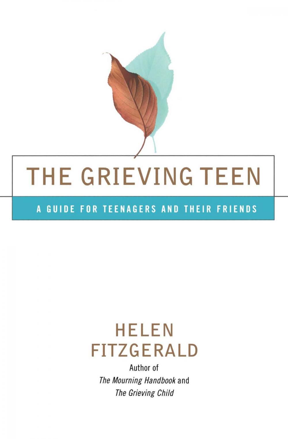 Big bigCover of The Grieving Teen