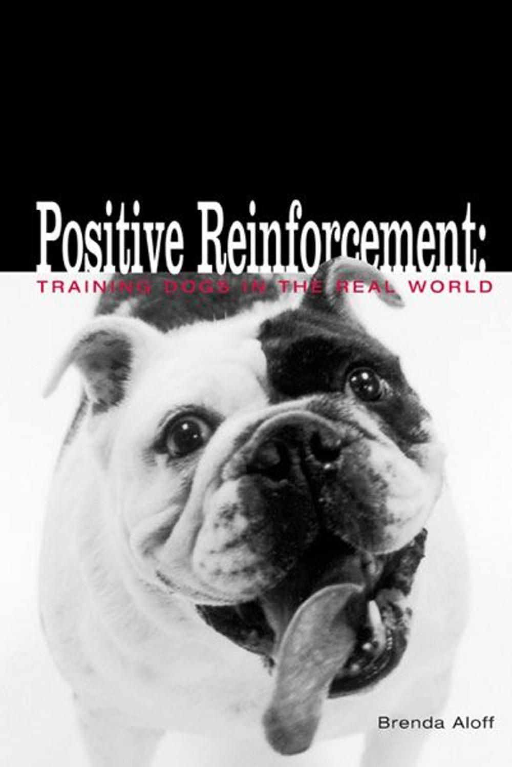 Big bigCover of Positive Reinforcement