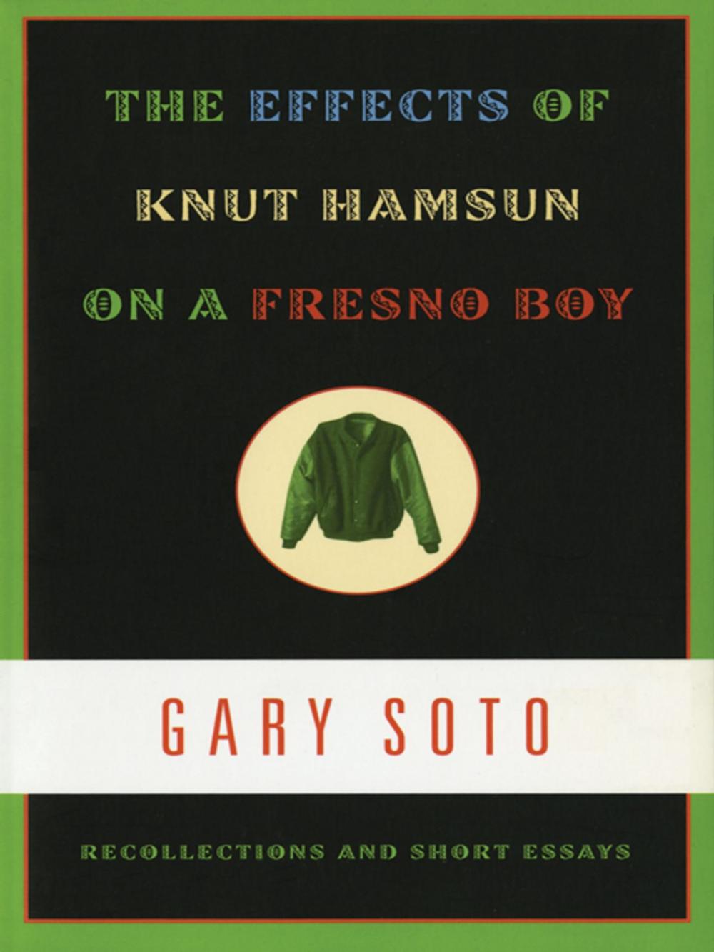 Big bigCover of The Effects of Knut Hamsun on a Fresno Boy: Recollections and Short Essays