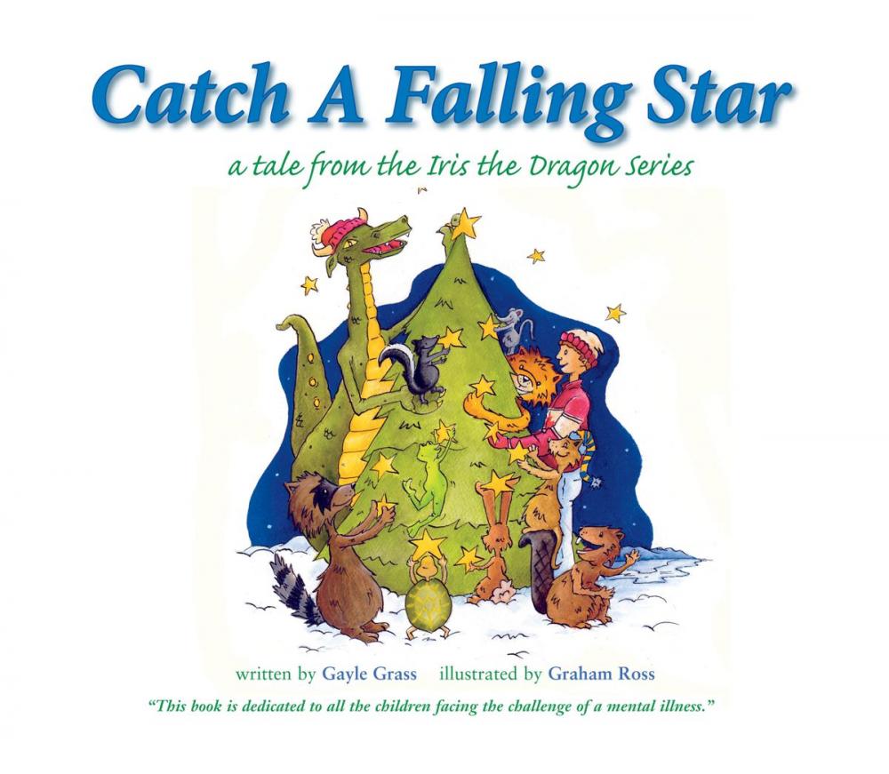 Big bigCover of Catch a Falling Star: A Tale from the Iris the Dragon Series