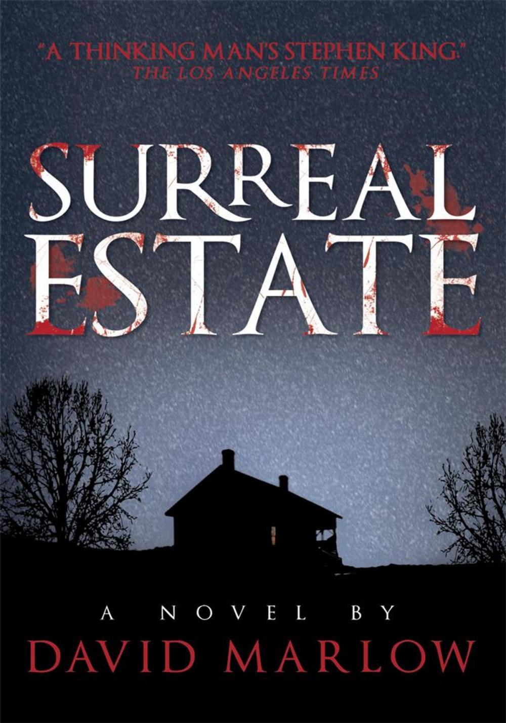 Big bigCover of Surreal Estate