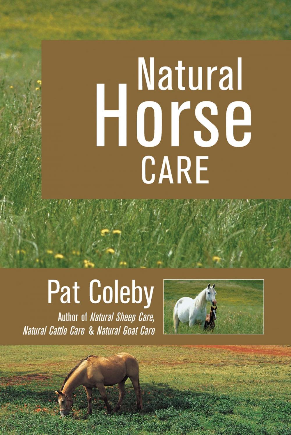 Big bigCover of Natural Horse Care