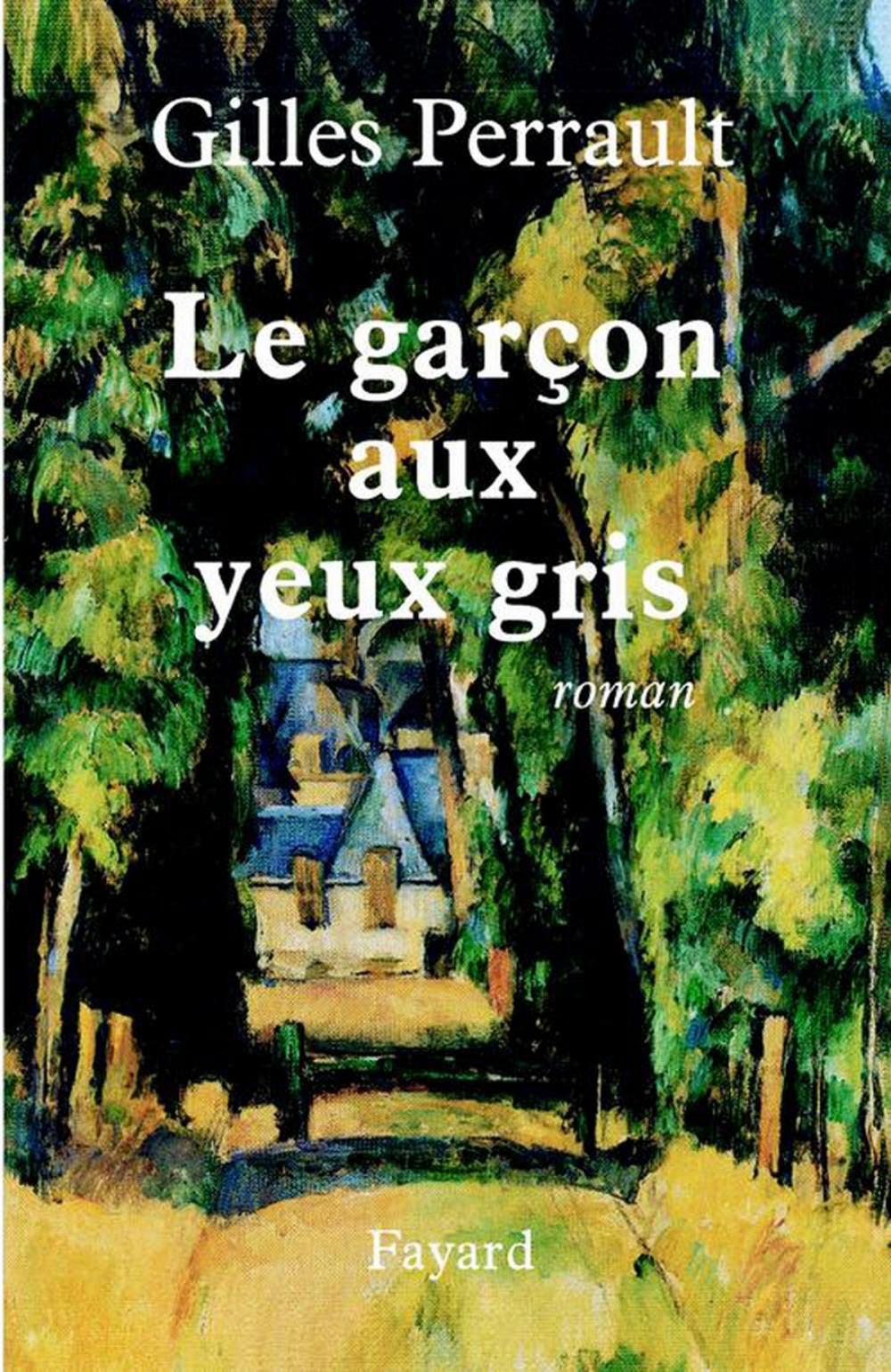 Big bigCover of Le garçon aux yeux gris