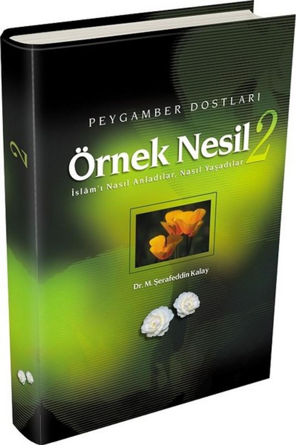 Big bigCover of Örnek Nesil 2